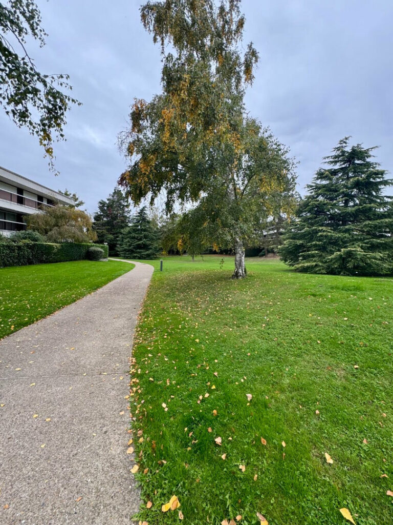 Appartement Le Chesnay Rocquencourt 4 pièce(s) 103 m2 - Léon Immobilier